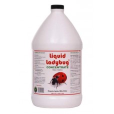 Liquid Ladybug     1 Gallon Concentrate