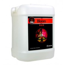 Bloom  2.5 Gallon