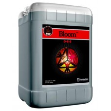 Bloom  6 Gallon