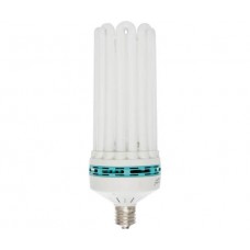 Bulb Comp FL Warm 200W 2700K