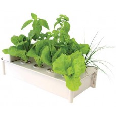 Salad Box Hydroponic Salad Garden Kit