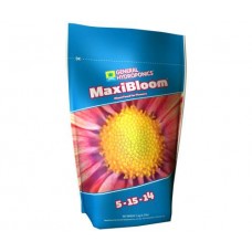 MaxiBloom  2.2 lbs