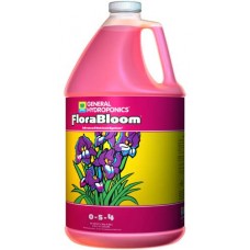FloraBloom  1 gal
