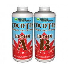 Cocotek Bloom (A&B)      QT