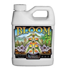 Bloom      16 oz.