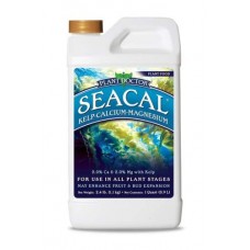 SeaCal Qt