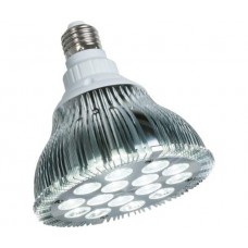 powerPAR LED Bulb-White 15W/E27